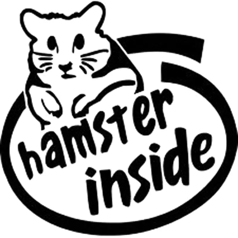 Where can I buy hamsters online?