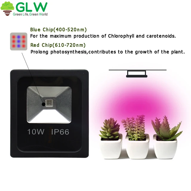 10 w 20 w
