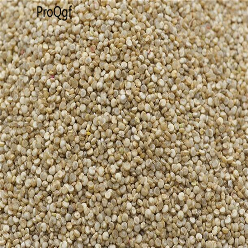 8000 шт набор qinghai белый Chenopodium quinoa