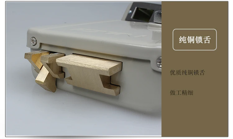electonic lock (11)