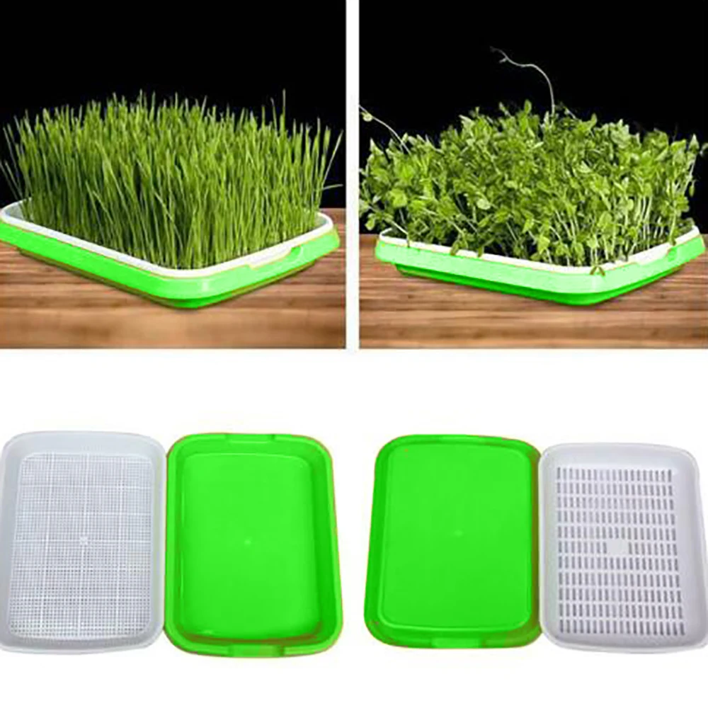 Sprouter Nursery Tray Double-layer Soilless Culture Beans Hydroponic Nursery Tray Hidroponia Seedling Tray Garden Supplies