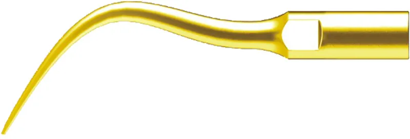 PD4T (2)