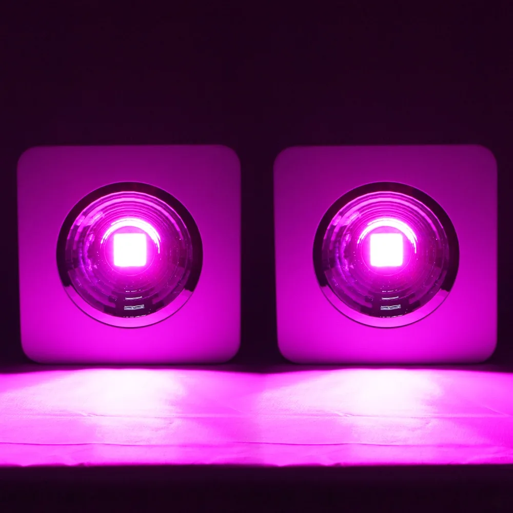 

2PC/Lot 200w Full Spectrum Reflector Led Grow Light panel COB lamp Lighting for Hydroponics High Penetration Grow Tent