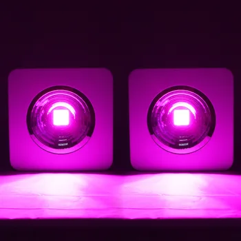 

2PC/Lot 200w Full Spectrum Reflector Led Grow Light panel COB lamp Lighting for Hydroponics High Penetration Grow Tent