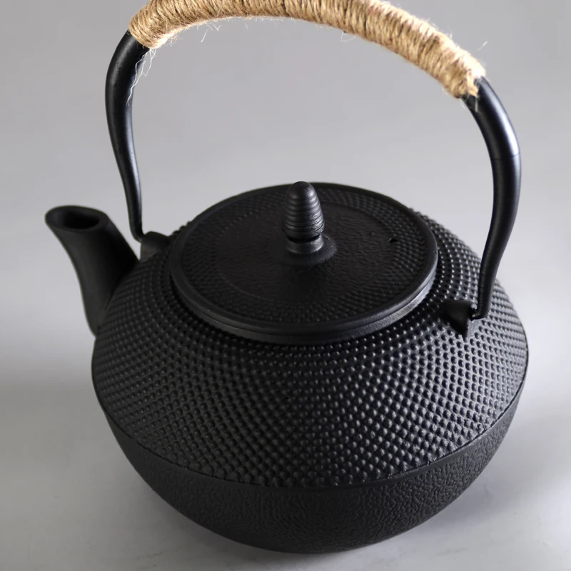 Cast Iron Tea Pot Set Japanese Teapot Tetsubin Kettle Drinkware 1.2l