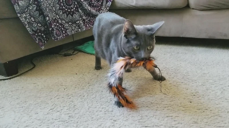 805