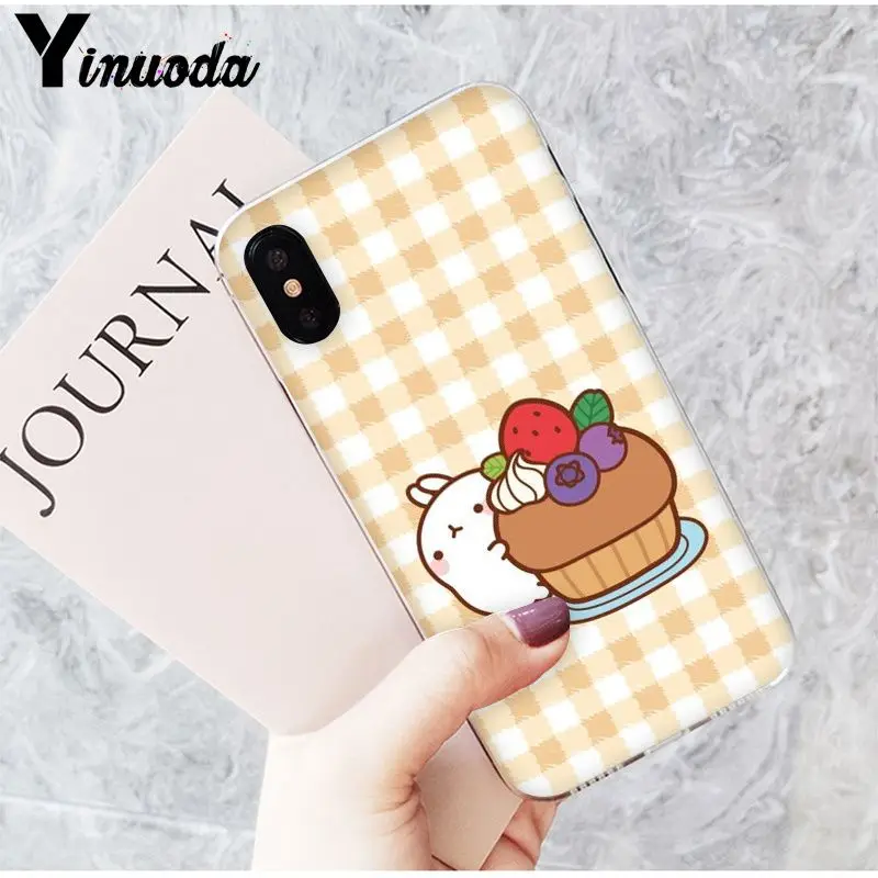 Funny and cute cartoon rabbit