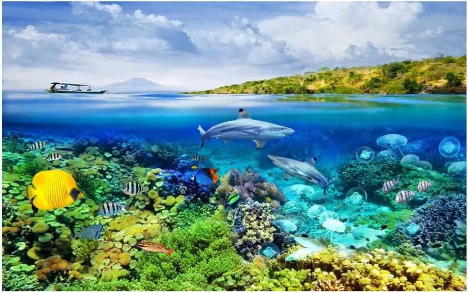 Download 400 Wallpaper Biru Hiu HD Terbaik Download 400 Wallpaper Biru Hiu HD Terbaik