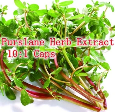 

100% nature Purslane Herb Extract 10:1 Caps 500mg x 300pcs rich of Omega-3 fatty acids free shipping