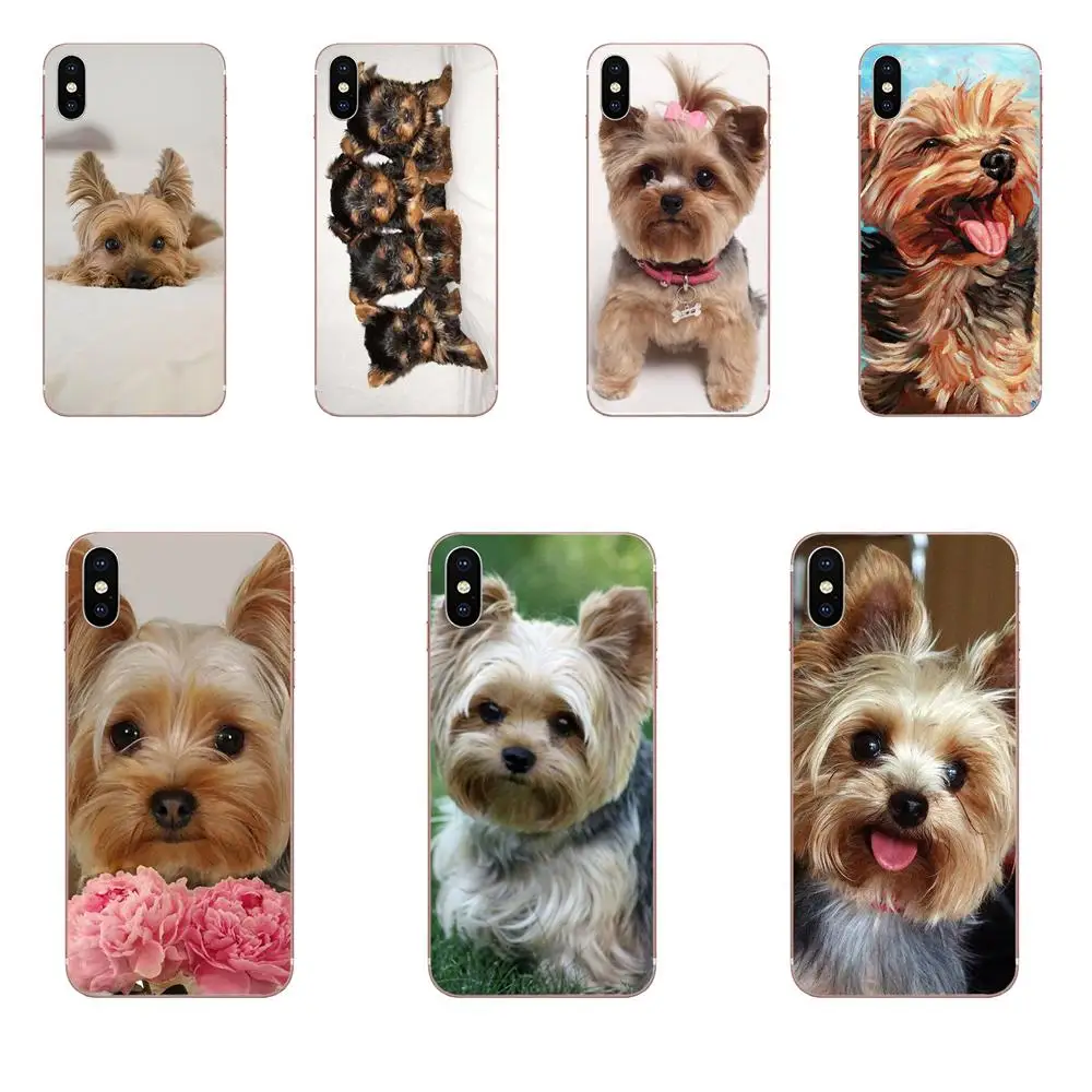 

Yorkshire Terrier Dog Pet Puppy TPU Shell For Galaxy Alpha Note 3 4 10 A10 A20 A20E A30 A40 A50 A60 A70 A80 A90 M10 M20 M30 M40