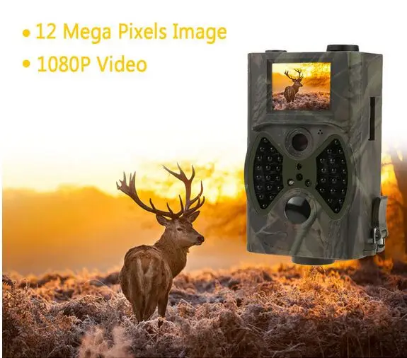 animal Trail Cameras 7