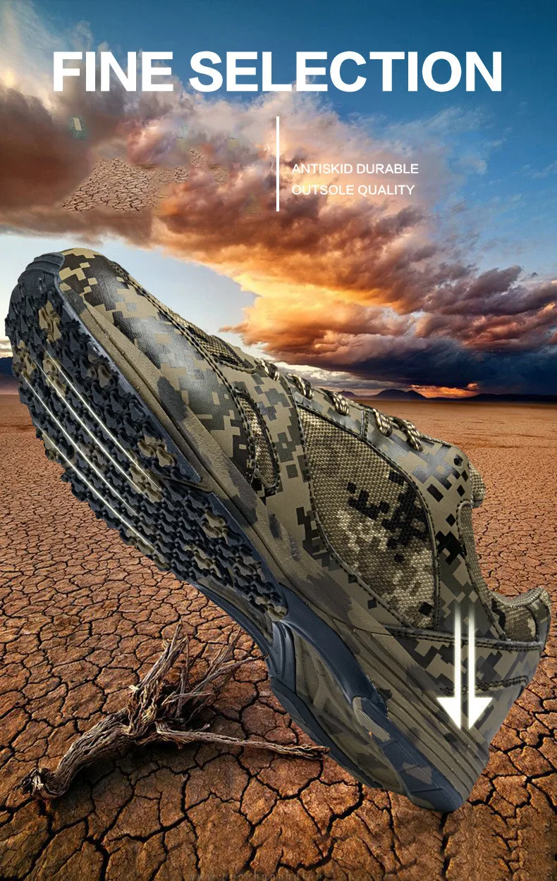 2607727