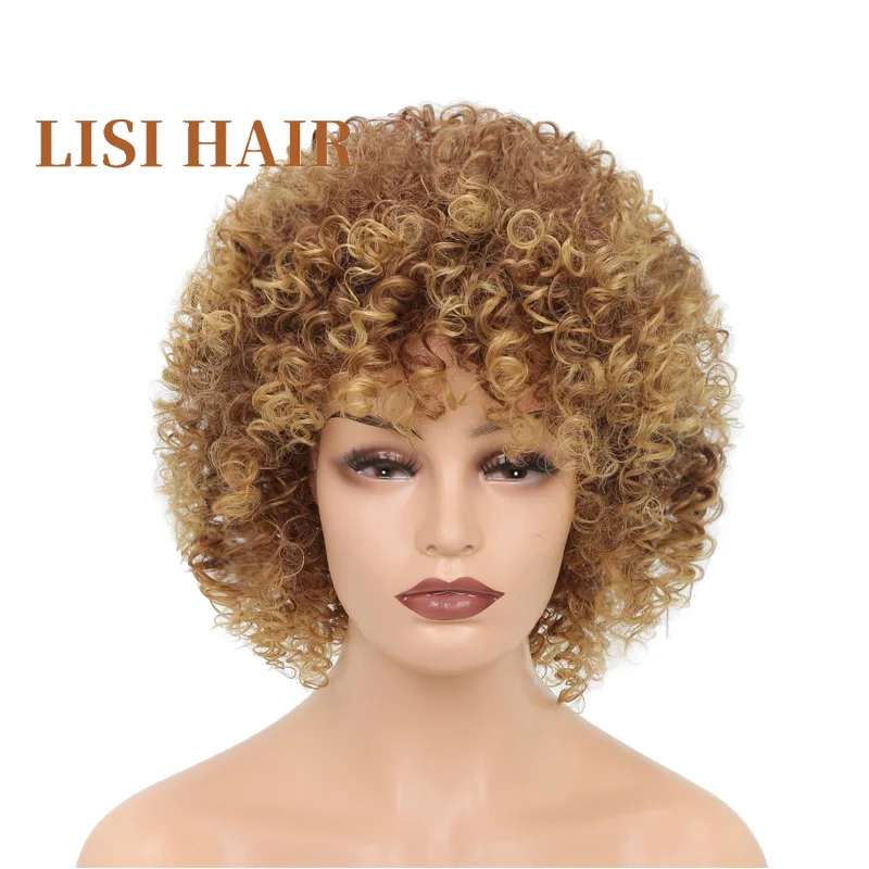 LISI HAIR Brown Mix Blonde Color 16Inches Long Afro Kinky Wigs For Black Women Synthetic Hair African Hairstyle2 (4)