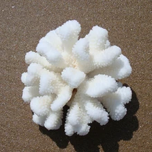 11-13 см искусственные антипаты кораллы белый коралл домашний сад водный Пейзаж украшения окно дисплей реквизит дизайн