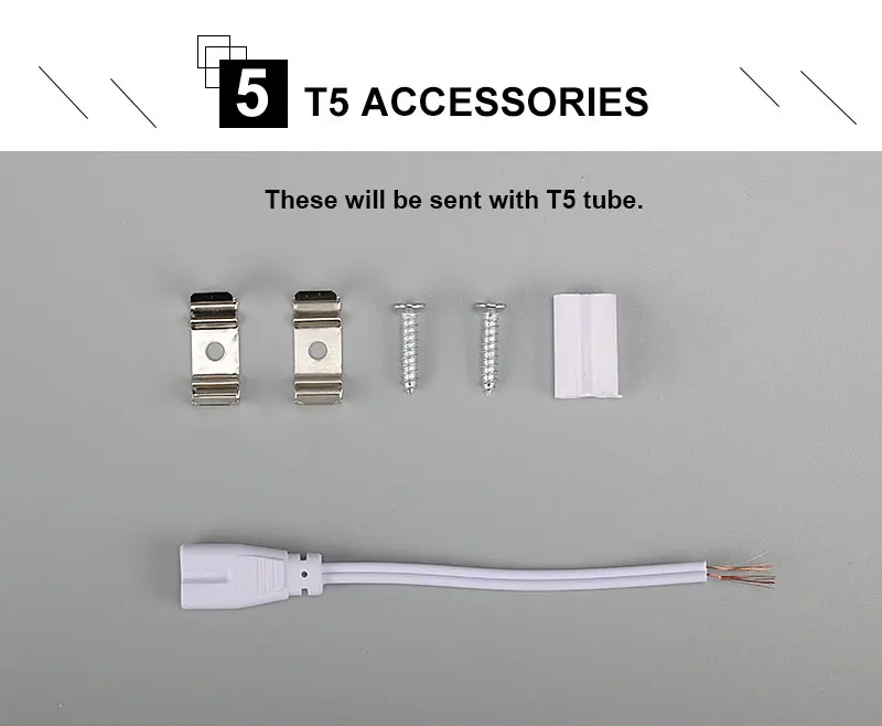 T5_06