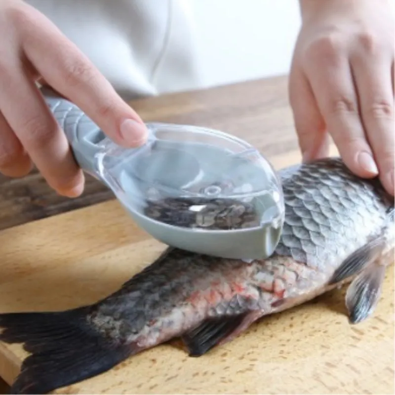 

Cooking Tools Fish Scraper Stainless Steel Clean Fish Knife For Cleaning Fish Skin Scaler Kitchen Ferramentas Tools Fishing