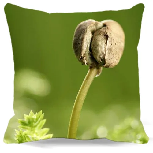 الوليد شجرة برعم القطن البوليستر الأخضر وسادة غطاء المنزل مكتب سيارة أريكة مربع مصنع كيس وسادة الزخرفية