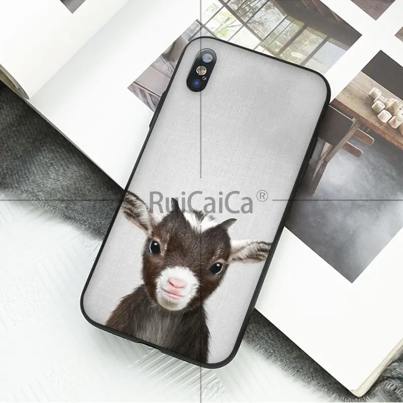 Animal dog cat tiger penguin baby