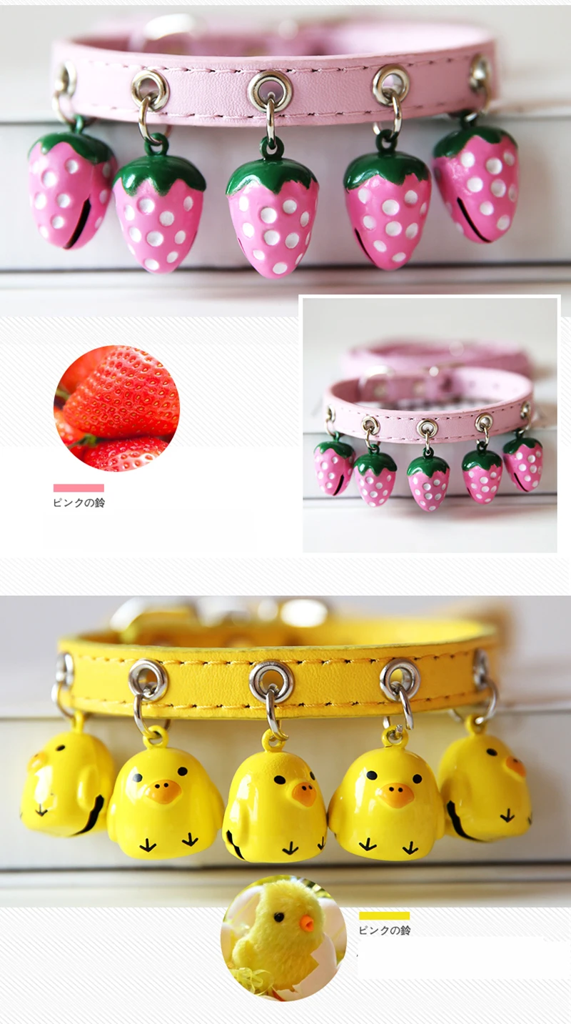 dog chain collar (9)