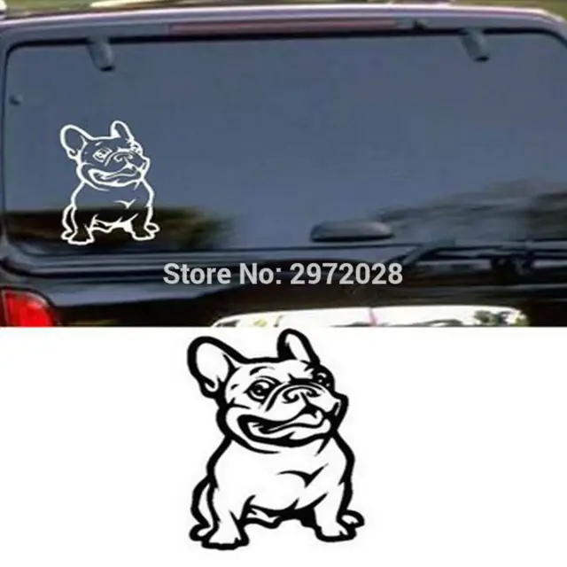 Gambar Kartun Anjing Pitbul Kata Kata Bijak