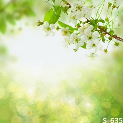 My Image 8