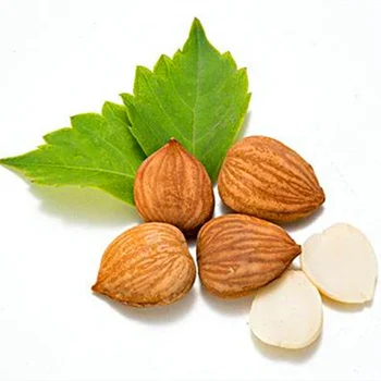 

Bitter Apricot Seed Anti-aging Anti-cancer,Almond Apricot Kernel