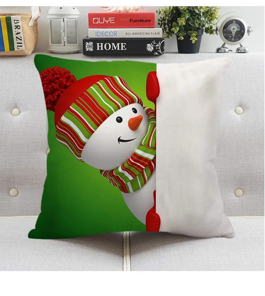 cushion (10)