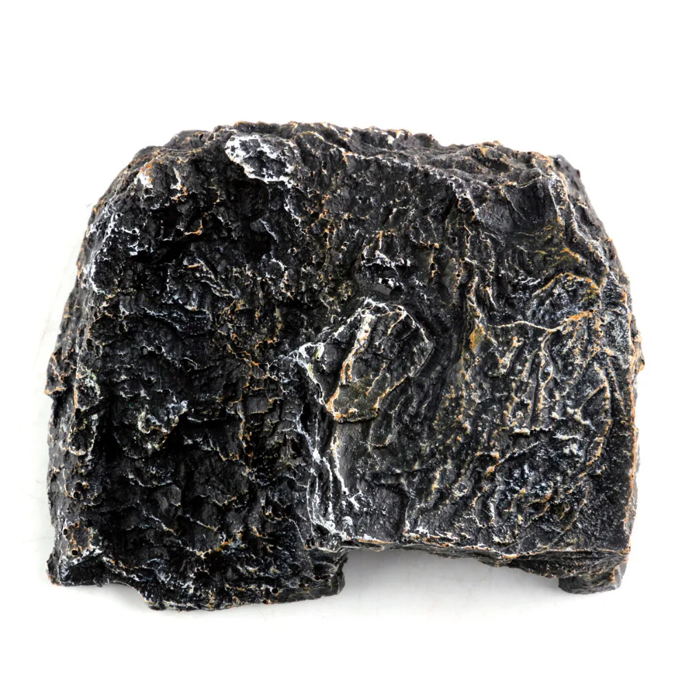 B (5)