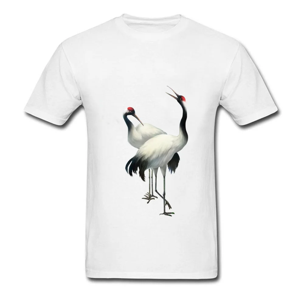 0102 43_white