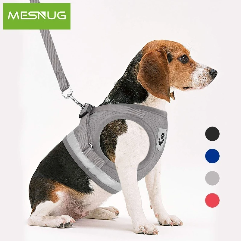 Escape proof harness for chihuahua Outlet