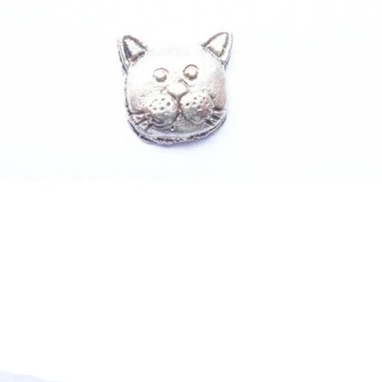 

20pcs/lot Cat Floating Living Memory Charms For Floating Living Memory Locket