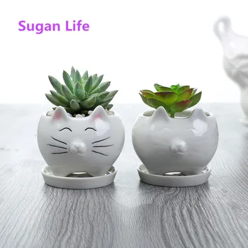 

Suganlife Little Kitty Cat Cartoon Ceramic Flower Pot Tray Garden Plants Pot Fashion Home Decoration Succulent Pot Grow Box