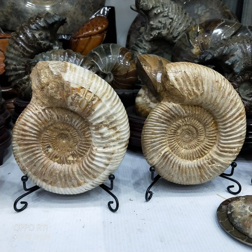 IMG20181108145836