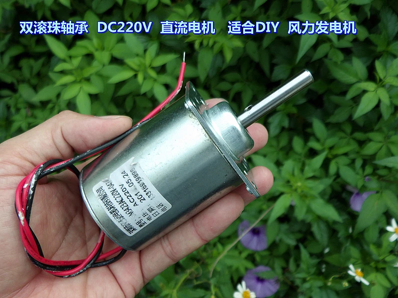 DC120V DC brushless motor DIY generator Dual ball bearing Light Equipment Tools 