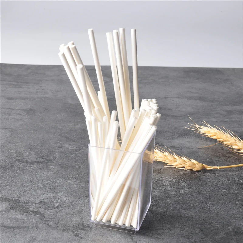 8/10/15cm Solid Core White Paper Lollipop Sticks For Chocolate Sugar Candy Lolly Pop Sucker sticks Cake Pop Sticks TDJ