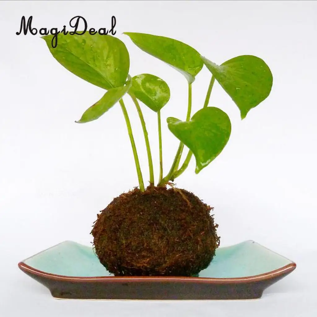 Creative Moss Ball Flower Pot Planter Bonsai Plant Holder Home Garden 6cm