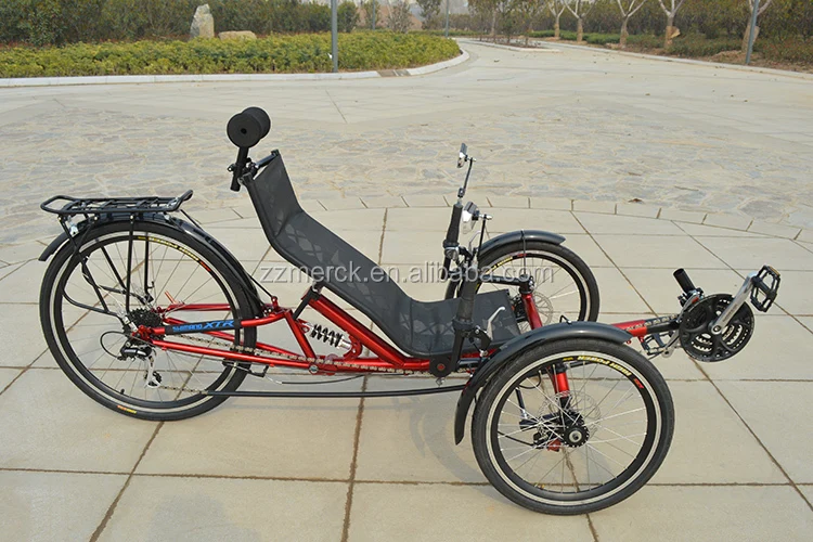 recumbent tadpole trike 7.jpg