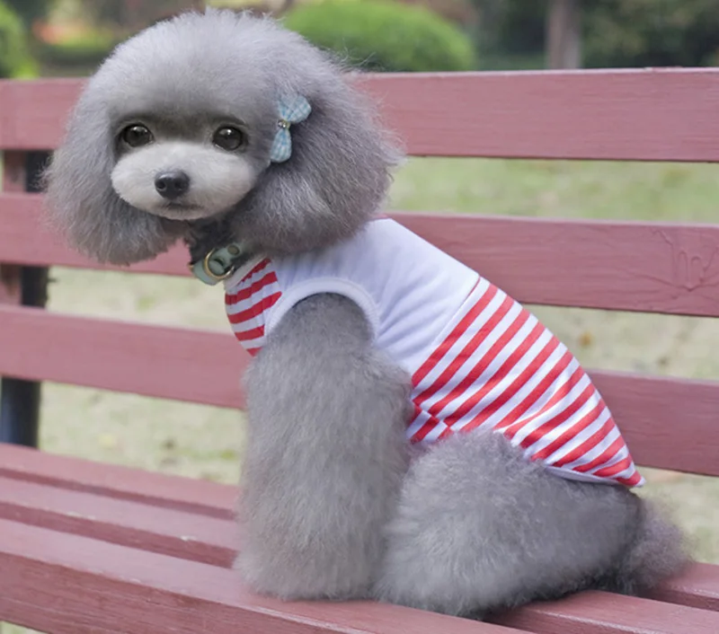 Stripe dog vet