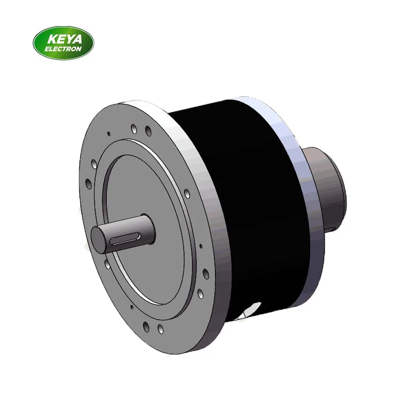 24v bldc мотор 2kw с бесщеточным двигателем постоянного тока тормоза tfpm для