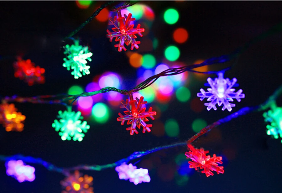 3631599123_1559958249