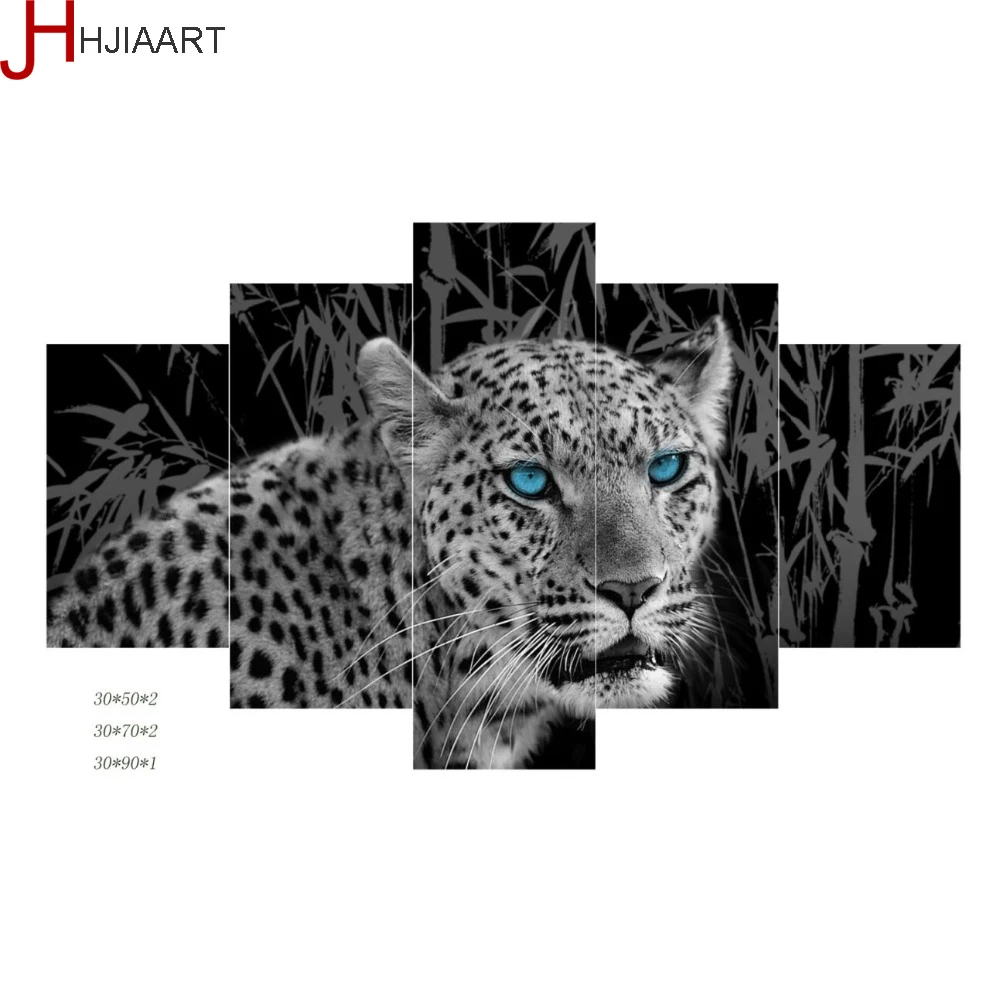 HTB1sAQHRpXXXXa6XVXXq6xXFXXXP