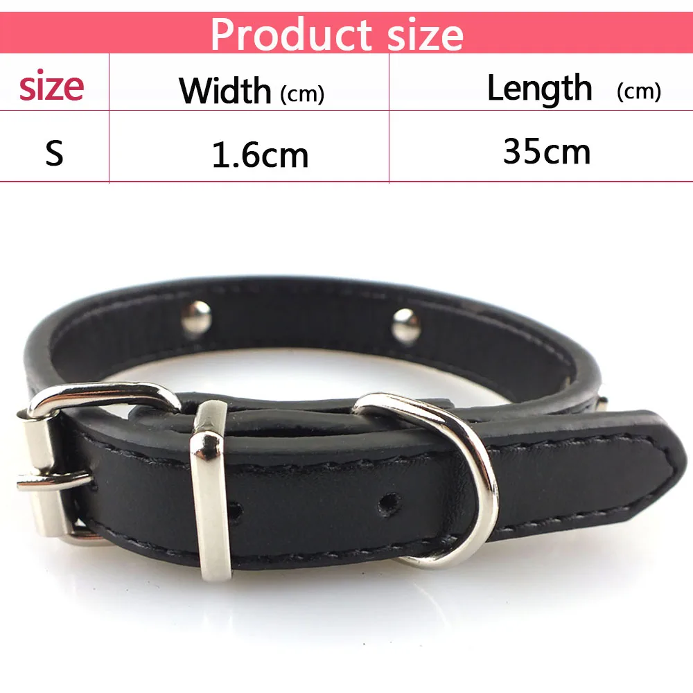 dog collar 2 