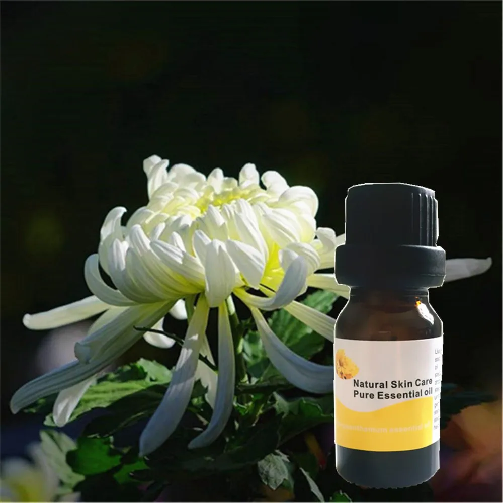 Orgnic холодный пресс Хризантема эфирное масло для диффузора увлажнитель 10 мл дикого цветка Арома масло