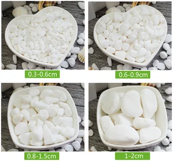 

500g White Garden Paving Pebbles/Plants Growing Decorative PEBBLES/Gardening media