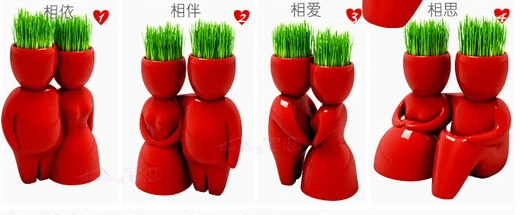 

[ Fly Eagle ]4pair Red lover Desktop bonsai,green mini pot,DIY plant hair man ,enjoy planting ,gift for lover,4different design