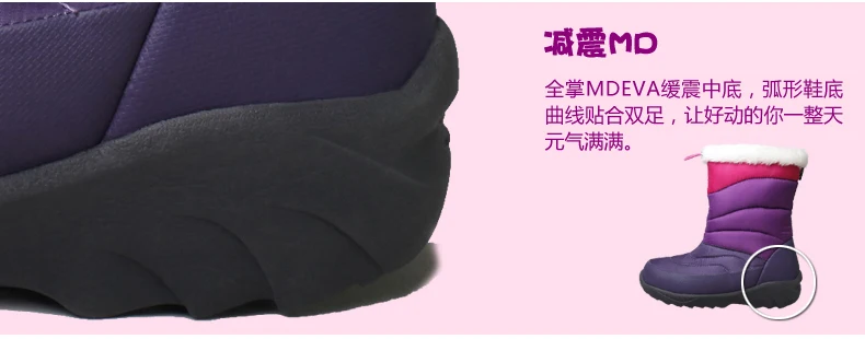 BOT12010-02_23