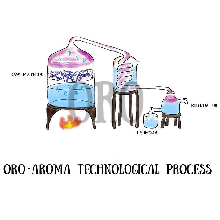 Известный бренд oroaroma натуральный ароматерапия камфорное масло Успокаивающая функция подавление бактерий лечение акне камфорное эфирное масло