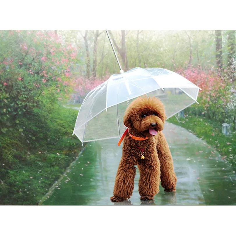 leash umbrella popular umbrella leash buy cheap umbrella leash lots from china umbrella leash umbrella popular umbrella leash buy cheap umbrella leash lots from china umbrella