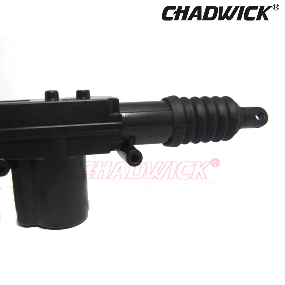 5p  chadwick 3