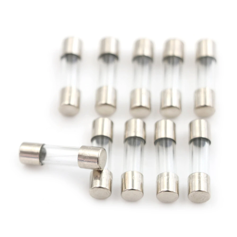 10Pcs Fast blow Glass Fuses 5mm (Diameter) x 20mm (Length) 315mA / 0